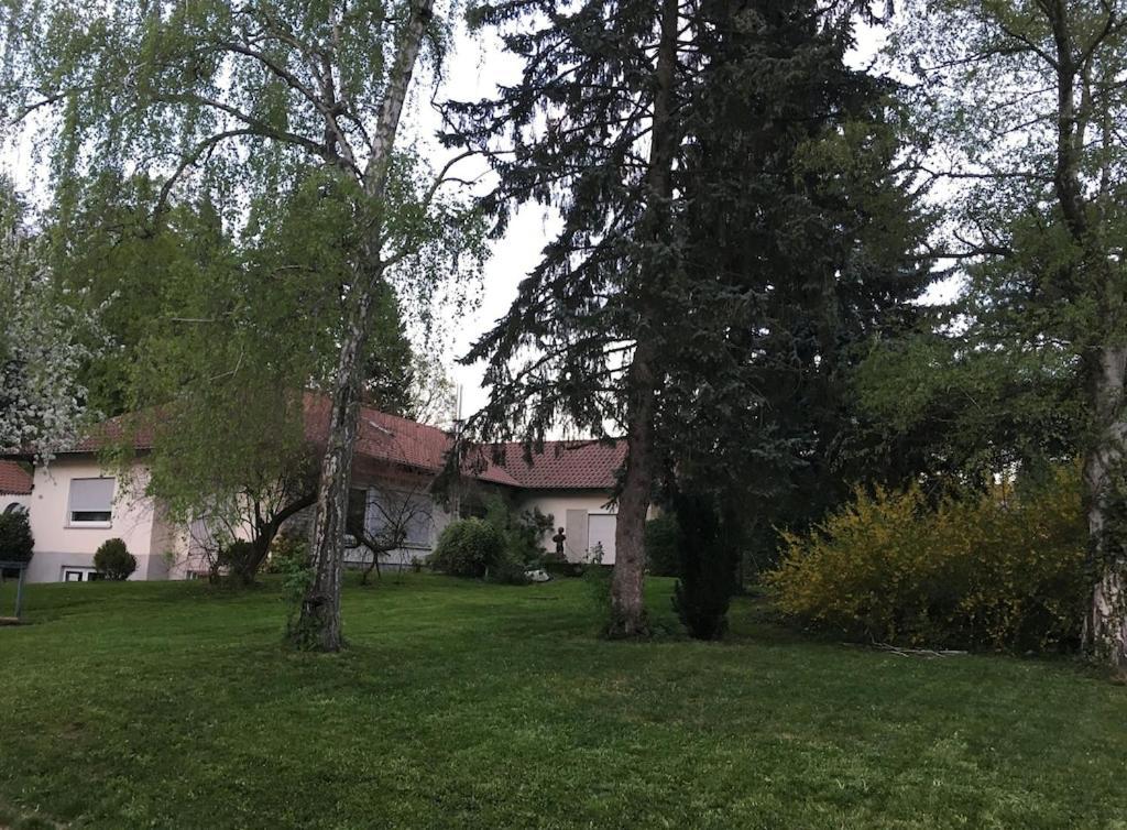 Schoene Ferienwohnung 2,5 Zimmer In Stadtnaehe Mit Eigenem Hofgarten Balingen Dış mekan fotoğraf